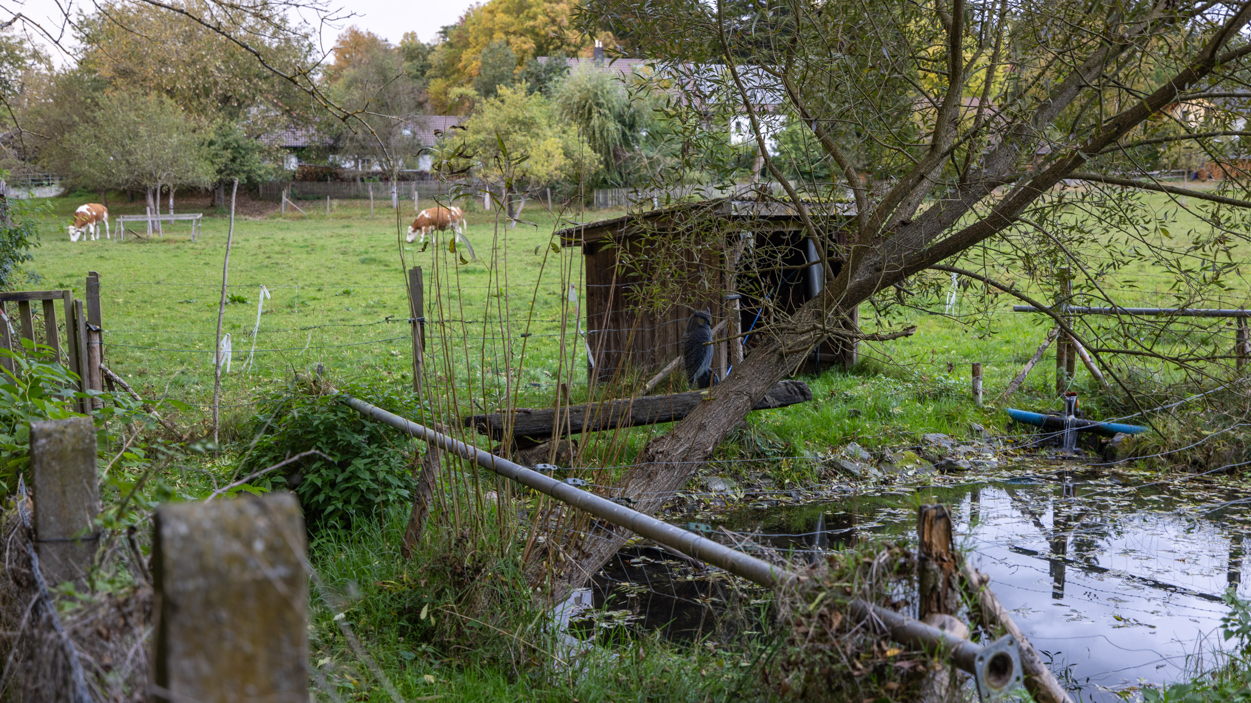 20231014173812 R5D 4193